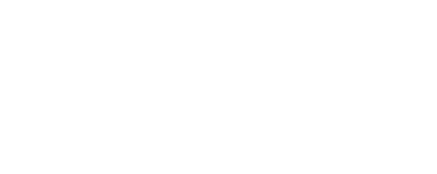 Bloodline Detectives logo