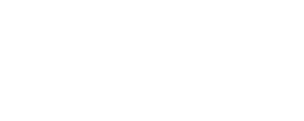 Bloodline Detectives logo