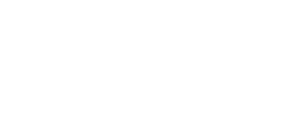 Storia di una notte logo