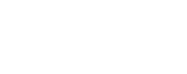 Fashion King logo