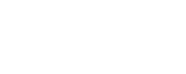 Phoenix 2020 logo