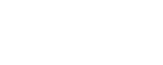 Identical Affairs logo