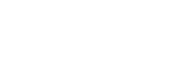 Punch logo