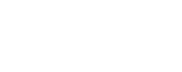 Nobody Knows logo