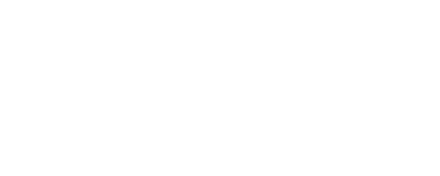 In the Name of Blossom logo