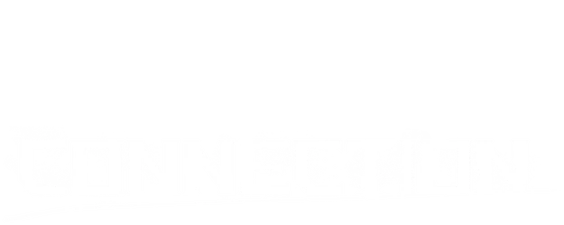 Connection logo