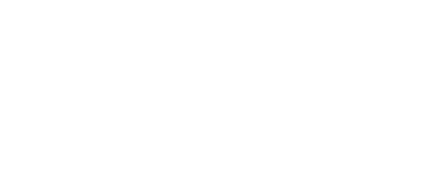 Les Norton logo