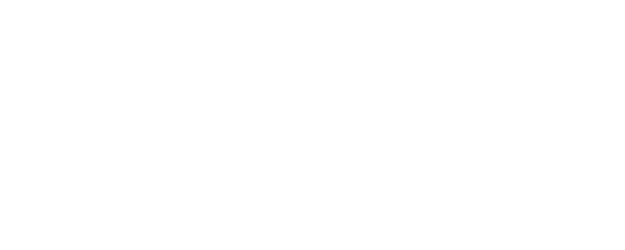 Les Norton logo