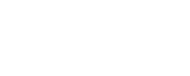 Flame logo