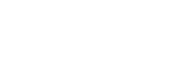 Secret Boutique logo