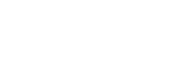 Snow flower logo