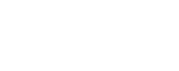 Big Picture Family logo