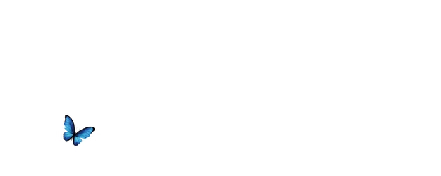 A BUTTERFLY EFFECT –The Murder Analysis Team– logo