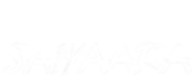 Saiyaara logo