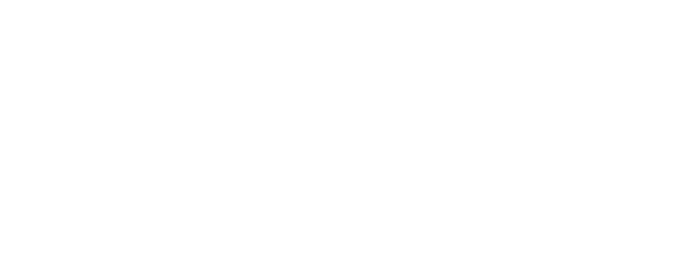 Nocturnal logo