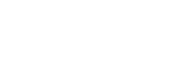 The Seat logo