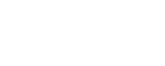 The Seat logo