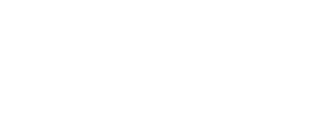 Atypical Crime Investigator Hinako Todo logo