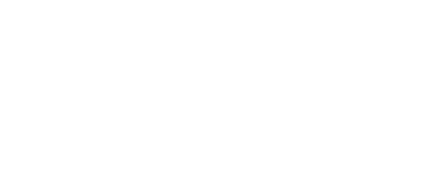 Atypical Crime Investigator Hinako Todo logo