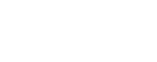 Hanoi Bride logo