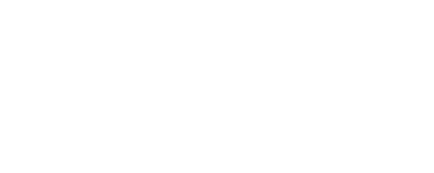 Detective logo