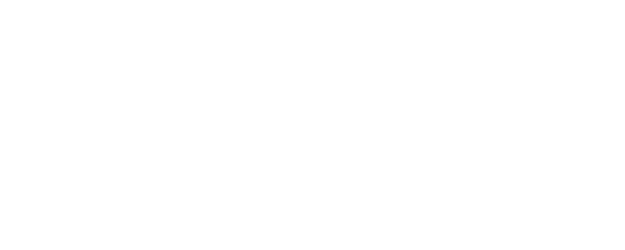 Punch logo