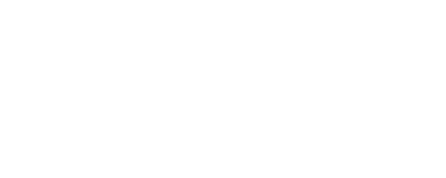The 19th Medical Chart logo