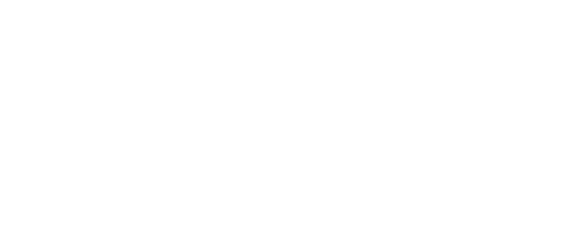 The 19th Medical Chart logo