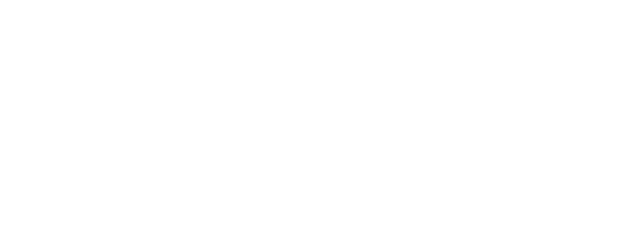 Southerly logo