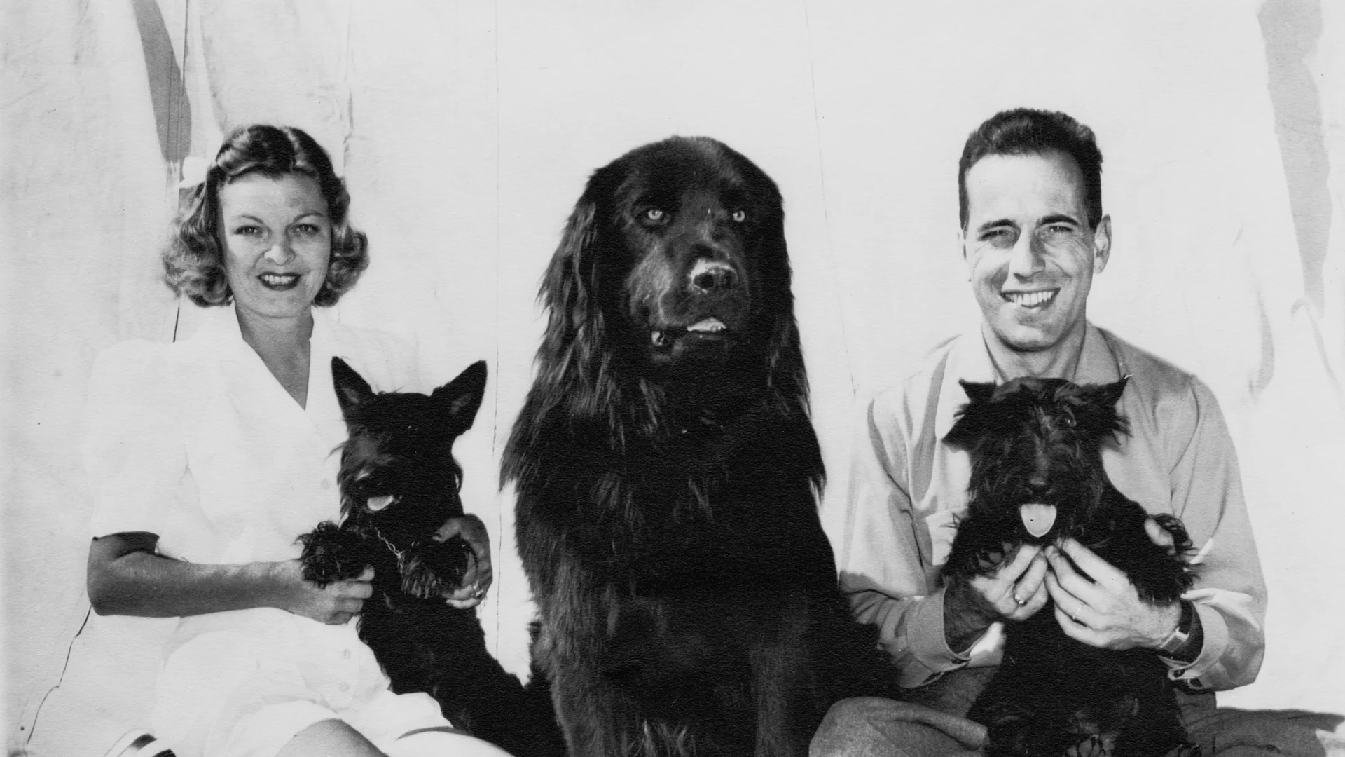Bogart: Life Comes in Flashes
