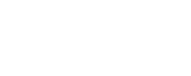 Dream Flight logo