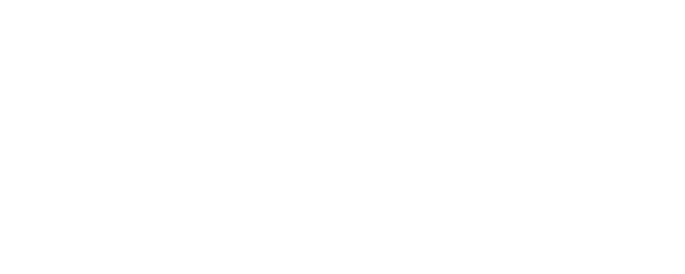 Secrets of the Silent Witch logo