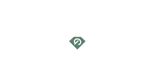 Ruri Rocks logo