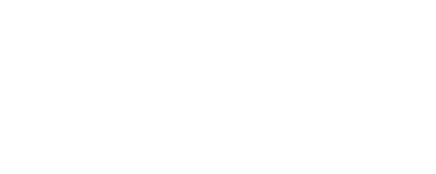 Fate/strange Fake logo