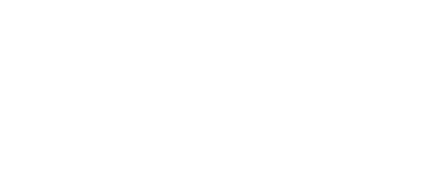 Fate/strange Fake logo
