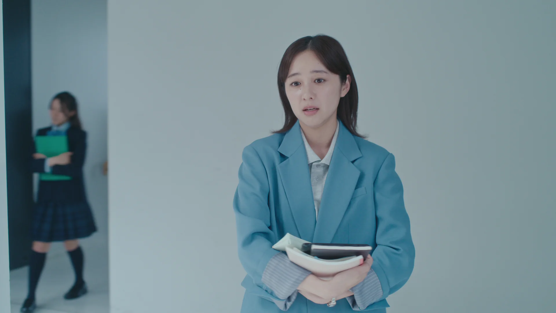 School Lawyer