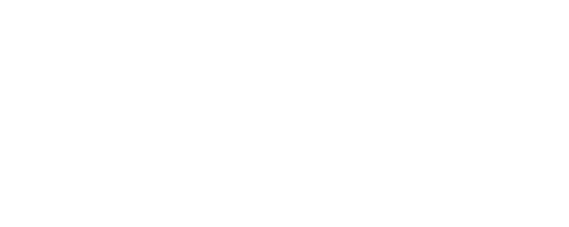 Holy Night: Demon Hunters logo