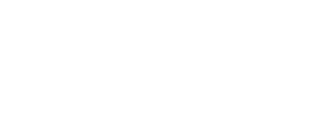 Chasing Borderless Crime logo