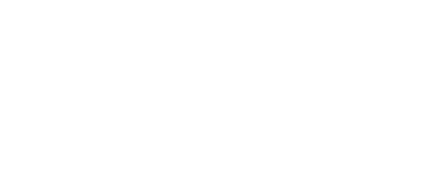 A Nice Jewish Boy logo