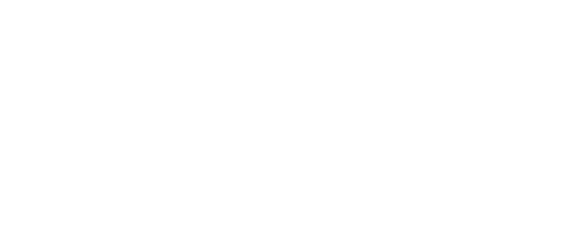 SKY Castle logo