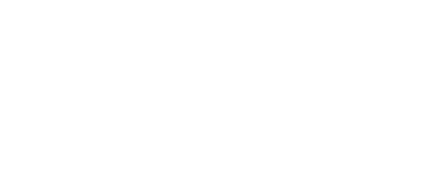 SKY Castle logo