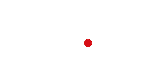 The Last Town We Saw logo