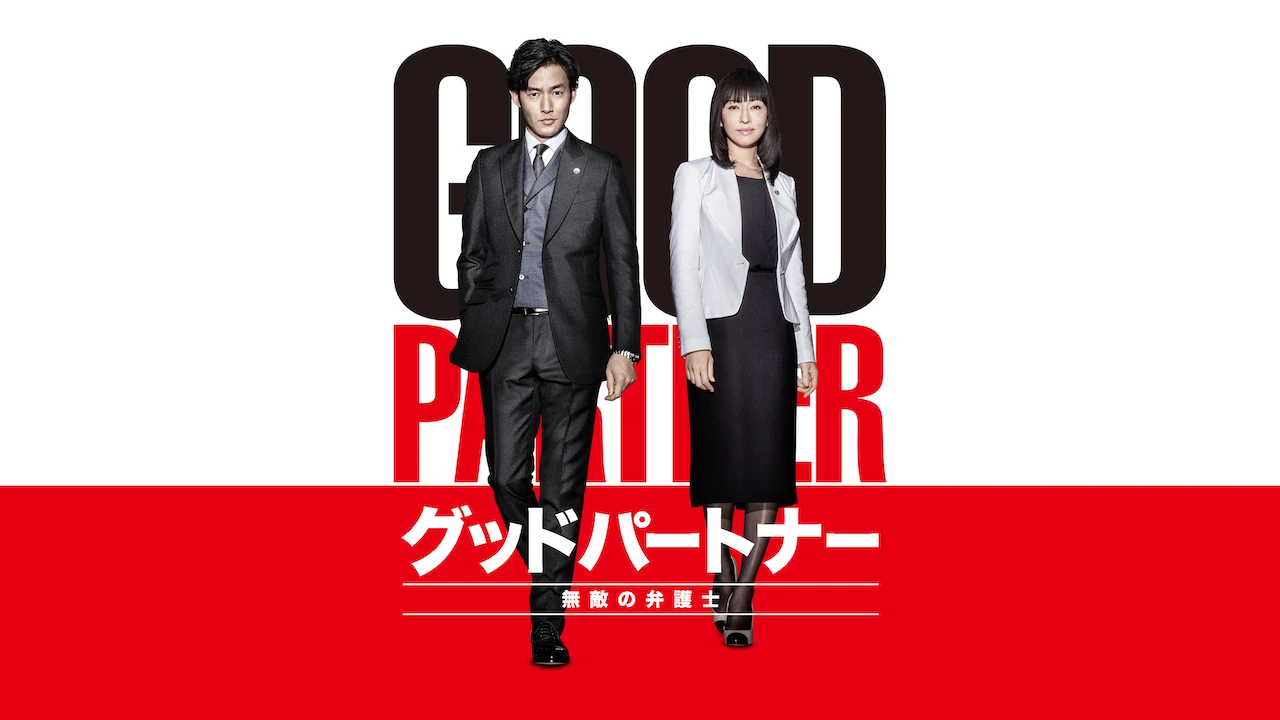 Good Partner the Invincible Lawyer