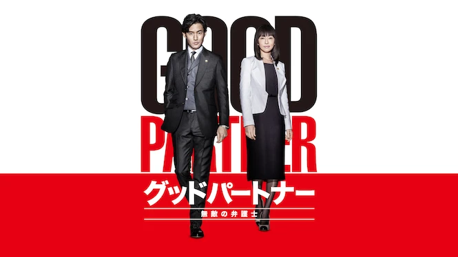 Good Partner the Invincible Lawyer