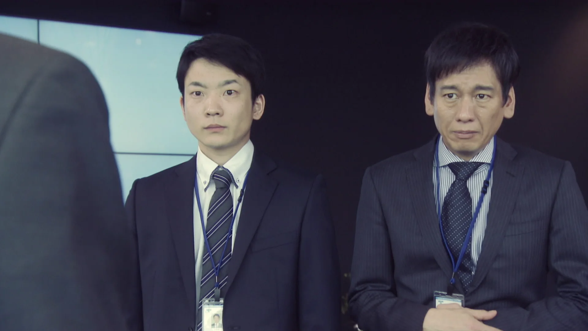 Good Partner the Invincible Lawyer