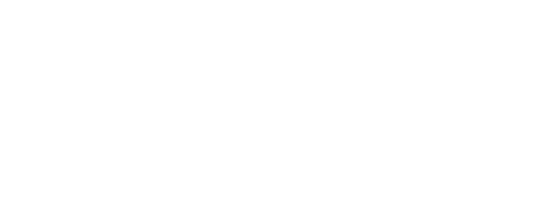 Flying Colors logo