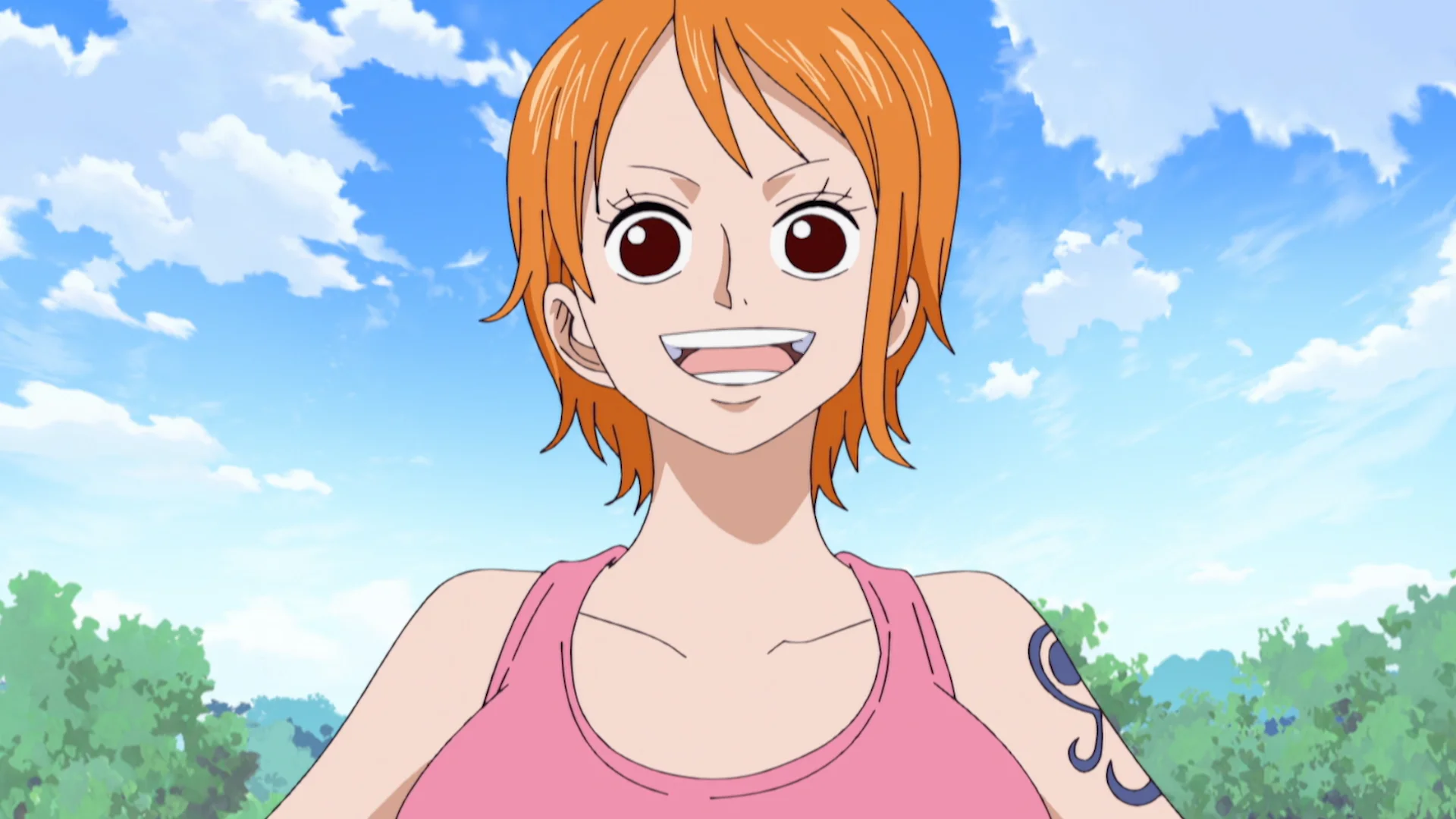 Toriko X One Piece Collaboration Special