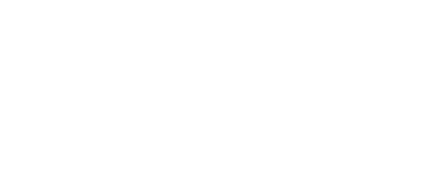 Pimp My Bride logo