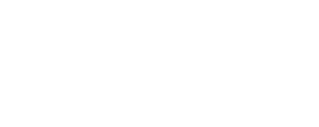 The Next Prince logo
