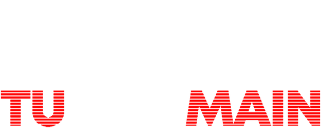 Tu Yaa Main logo